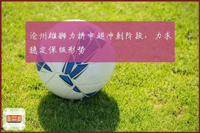 沧州雄狮力拼中超冲刺阶段，力求稳定保级形势