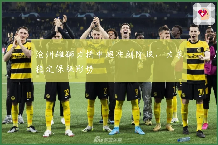 沧州雄狮力拼中超冲刺阶段，力求稳定保级形势