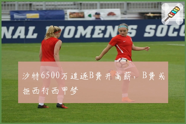 沙特6500万追逐B费开高薪，B费或拒西行西甲梦